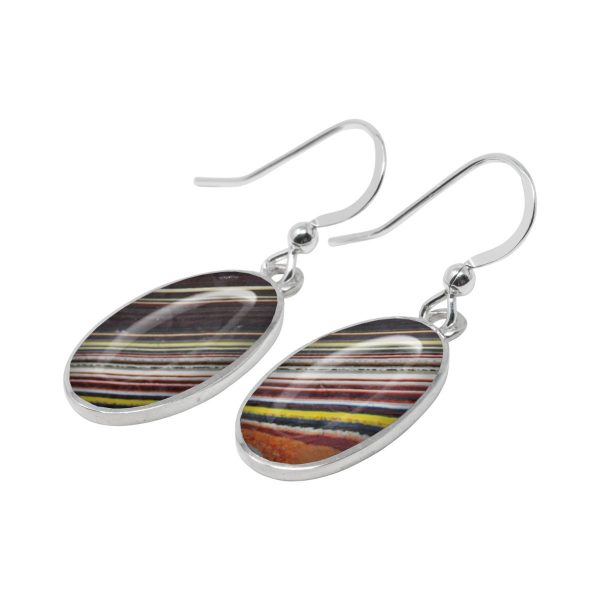 Silver Fordite Oval Drop Earrings