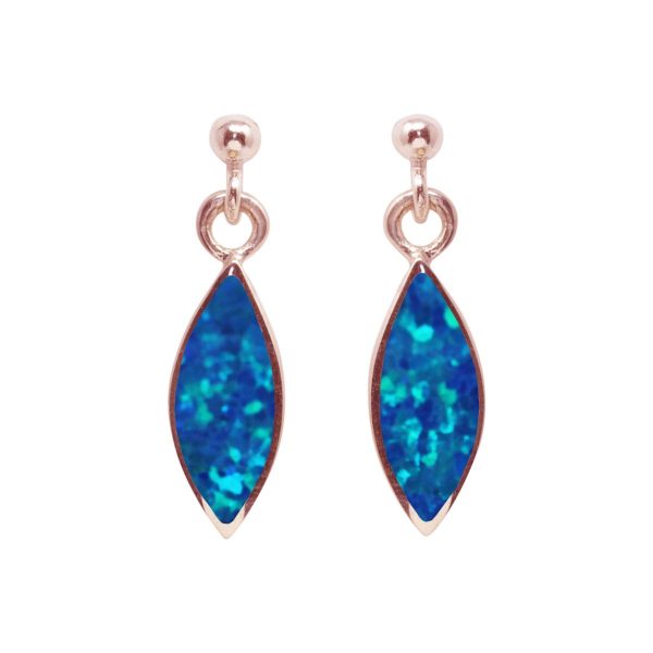 Rose Gold Cobalt Blue Drop Earrings