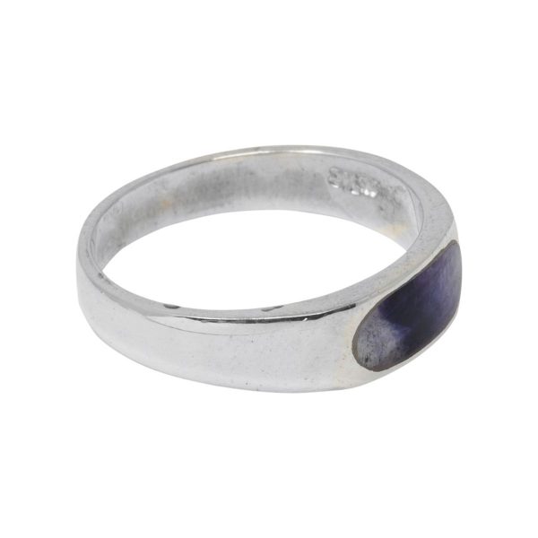 White Gold Blue John Band Ring