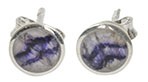 Stud Earrings