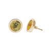 Gold Bumblebee Jasper Round Stud Earrings