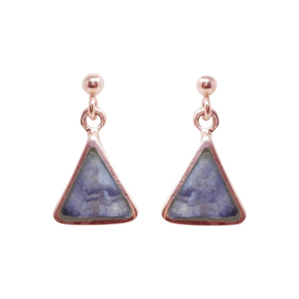 Rose Gold Whitby Jet Drop Earrings